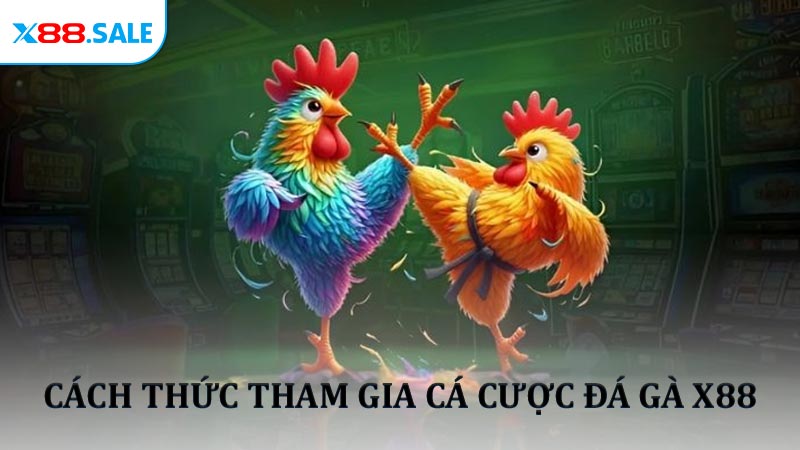 Cách thức tham gia cá cược đá gà X88 trực tiếp